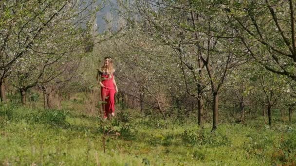 Mulher bonita nova no vestido longo que anda no jardim da flor da primavera — Vídeo de Stock