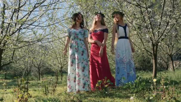 Junge schöne Frauen in langen Kleidern zwischen Frühlingsblütenbäumen. — Stockvideo