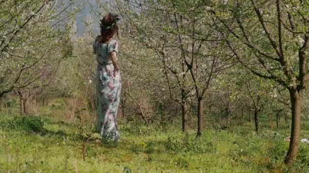 Junge schöne Frau im langen Kleid steht im Frühjahrsblütengarten — Stockvideo
