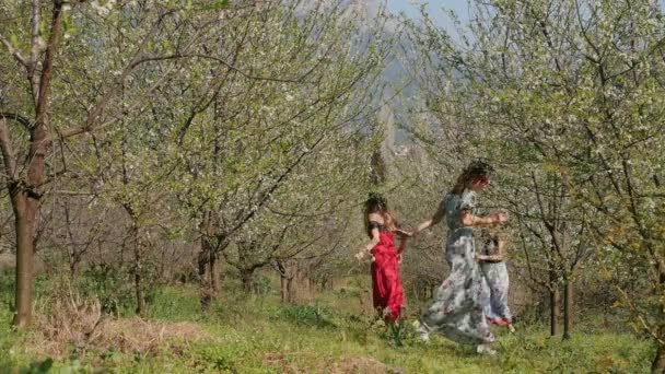 Jóvenes mujeres hermosas en vestidos largos jugando ponerse al día en el jardín de flores de primavera — Vídeo de stock