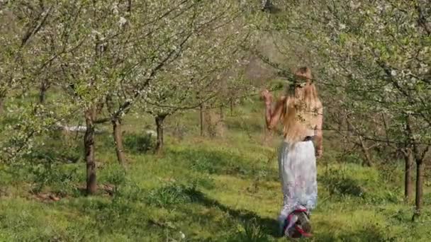 Joven hermosa mujer en vestido largo caminando en el jardín de flores de primavera — Vídeo de stock
