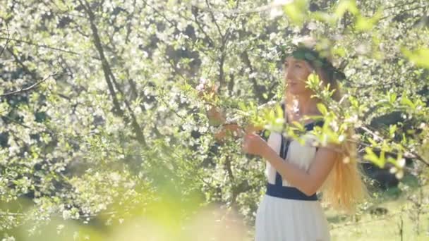 Joven hermosa mujer huele árboles de flores . — Vídeos de Stock