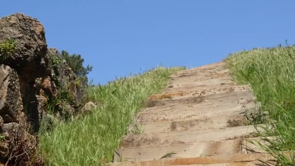 緑の草の木製の階段と青い空のパノラマビュー — ストック動画