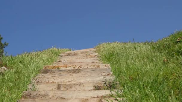 Mooi uitzicht op groene gras houten trappen en blauwe hemel — Stockvideo