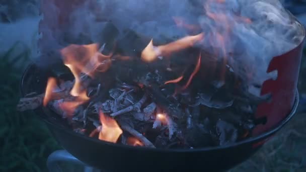 불타는 뒤뜰 숯불 바베큐 그릴입니다. 바베큐 그릴에 나무 칩을 흡연. — 비디오