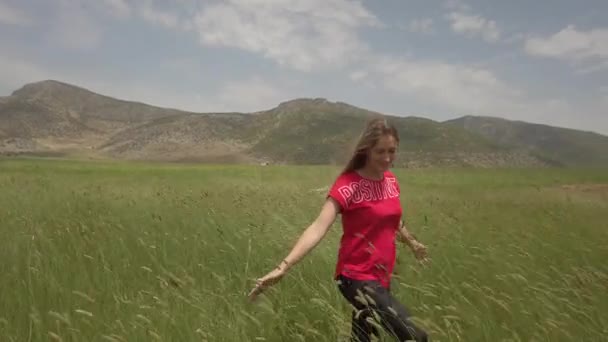 Ein junges Mädchen, das glücklich durch ein grünes Feld geht und die Ähren mit der Hand berührt — Stockvideo