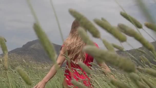 Una joven caminando felizmente en cámara lenta a través de un campo verde, tocando las espigas de trigo a mano — Vídeos de Stock