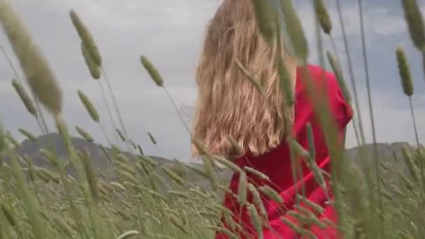 Młoda dziewczyna spaceru szczęśliwie w zwolnionym tempie przez zielone pole, dotykając uszy pszenicy ręcznie — Wideo stockowe