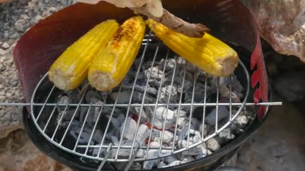 Het grillen van de oren van maïs op houtskool proces — Stockvideo