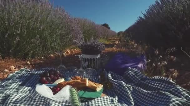 Gastronomisches Stillleben französisches Picknick im Freien im Lavendelfeld — Stockvideo