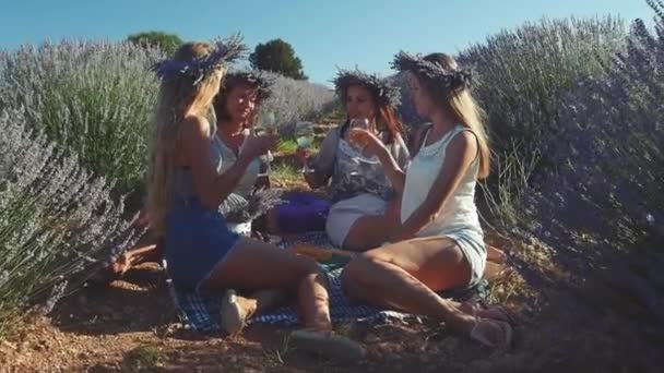 Quatro jovens mulheres fazem um piquenique com vinho no campo de lavanda . — Vídeo de Stock