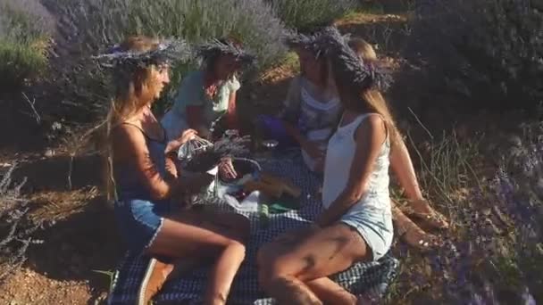 Τέσσερις νεαρές γυναίκες κάνουν πικ-νικ με κρασί στον τομέα της λεβάντας. — Αρχείο Βίντεο