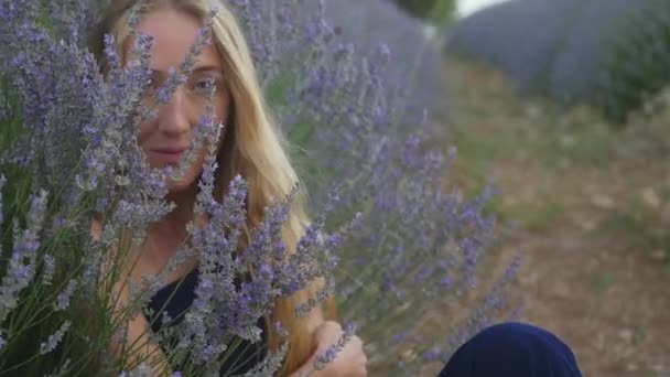 Mujer rubia feliz sentada en el prado de lavanda — Vídeo de stock