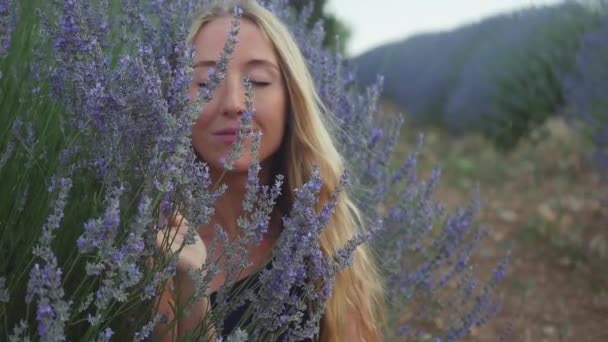 Щаслива блондинка сидить на лавандовому лузі і пахне квітами — стокове відео