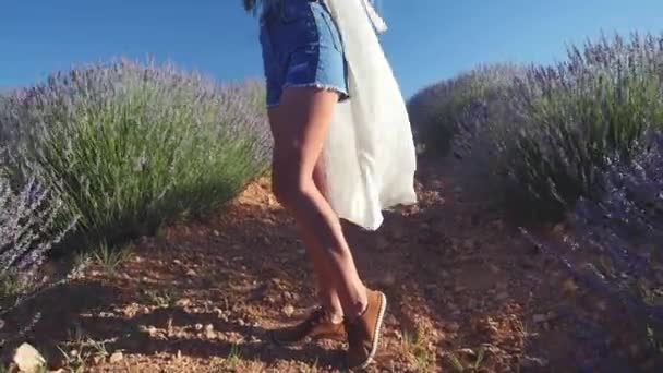 Mujer joven en ropa casual de pie en el campo de lavanda — Vídeo de stock