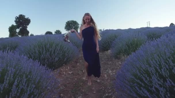 Ung kvinna i mörkblå klänning promenader i lavendel fält — Stockvideo