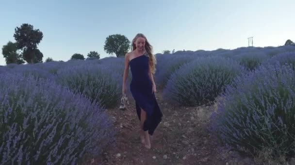 Молодая женщина в темно-синем платье ходит по лавандовому полю — стоковое видео