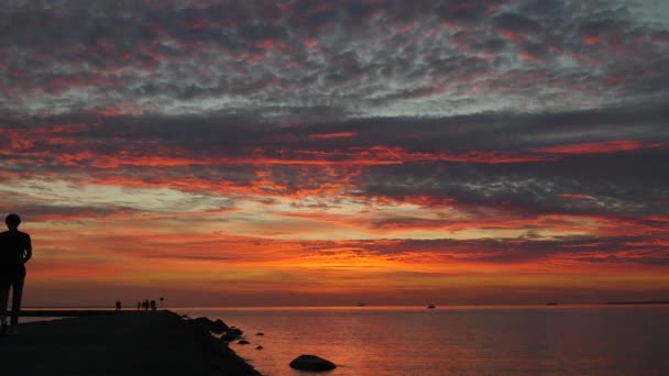 Beautiful scene of dramatic sky sunset on the sea — Stock Video