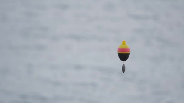 空中に浮かぶ釣り — ストック動画