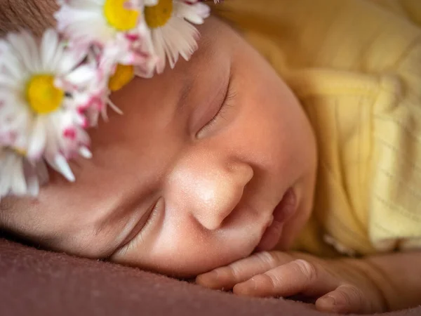 Retrato de 8 dias de idade bebê recém-nascido menina dormindo — Fotografia de Stock