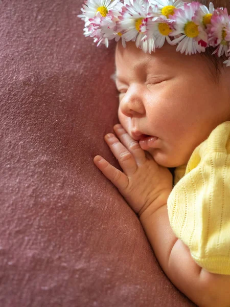 Portrait of 8 days old newborn baby girl sleeping — Stock Photo, Image