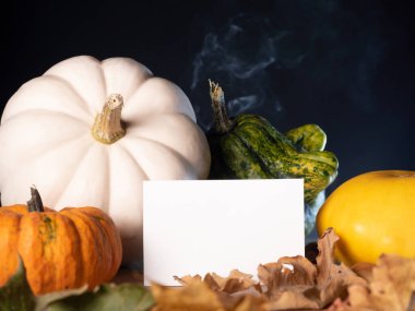 Dekoratif balkabağının yanında duran Retro tarzı kağıt