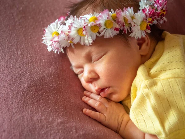 Retrato de niña recién nacida de 8 días durmiendo —  Fotos de Stock