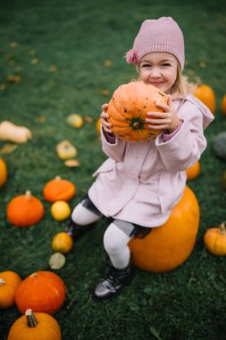 Child smiles while holding a pumpkin among autumn crops on a farm during the fall season.