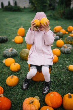A child in a pink coat enjoys playing with pumpkins in a garden filled with various pumpkin types.