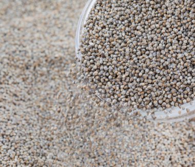 Ayrıca Bajra, Bajri, Bulrush Millet veya Hindistan Millet olarak da bilinir..