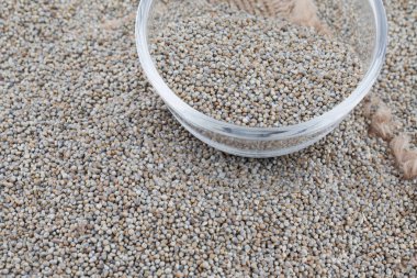 Ayrıca Bajra, Bajri, Bulrush Millet veya Hindistan Millet olarak da bilinir..