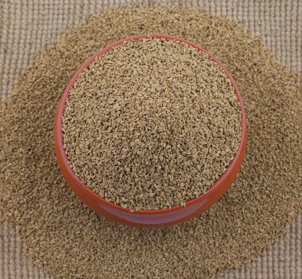 Ajwain Auch Bekannt Als Ajowan Kümmel Oder Trachyspermum Ammi — Stockfoto