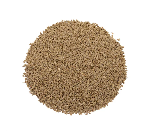 Ajwain Också Känd Som Ajowan Kummin Eller Trachyspermum Ammi Isolerad — Stockfoto