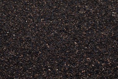 Siyah susam da olarak Til veya siyah Til.