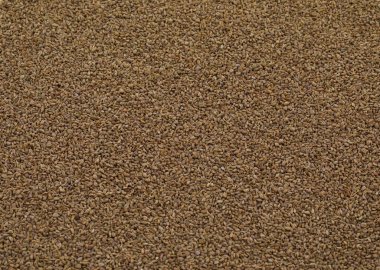 Ajwain de Ajowan, kimyon veya Trachyspermum annem biliyorum.