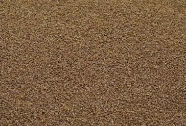 Ajwain de Ajowan, kimyon veya Trachyspermum annem biliyorum.