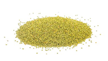 Hindistan 'da Methi Tohumları olarak da bilinen Yeşil Fenugreek tohumları Beyaz Arkaplanda izole edildi