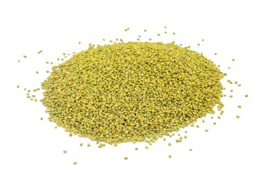 Hindistan 'da Methi Tohumları olarak da bilinen Yeşil Fenugreek tohumları Beyaz Arkaplanda izole edildi