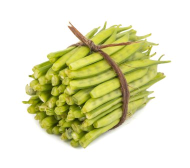 Guar ya da Cluster Bean Gavar, Guwar ya da Guvar Bean olarak da bilinir.