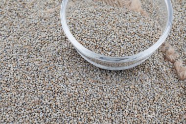 Ayrıca Bajra, Bajri, Bulrush Millet veya Hindistan Millet olarak da bilinir..