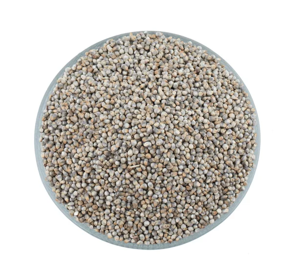 Pearl Millet Zaden Ook Bekend Als Bajra Bajri Bulrush Millet — Stockfoto