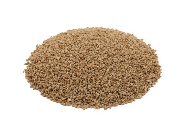 Ajwain, Ajowan, Caraway ya da Trachyspermum olarak da bilinir.