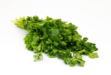 Taze kişniş ya da Hint Dhaniya Beyaz Arkaplanda İzole Edildi