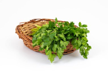 Taze kişniş ya da Hint Dhaniya Beyaz Arkaplanda İzole Edildi