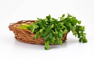 Taze kişniş ya da Hint Dhaniya Beyaz Arkaplanda İzole Edildi