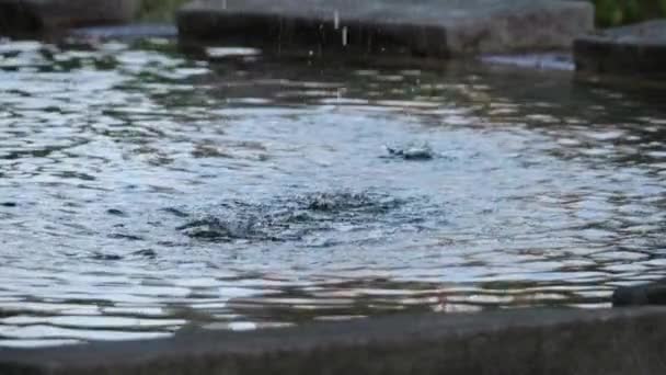 Lento Tiro Movimento Gotas Água Caindo Uma Fonte — Vídeo de Stock