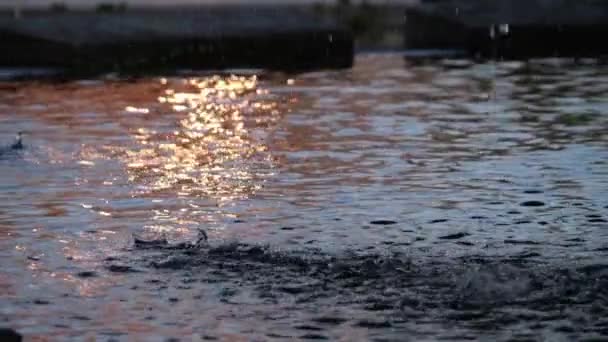 Colpo Lento Gocce Acqua Che Cadono Una Fontana — Video Stock