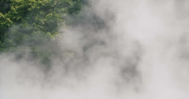 Beitou Térmica Valley Vale Inferno Taipei Taiwan — Vídeo de Stock