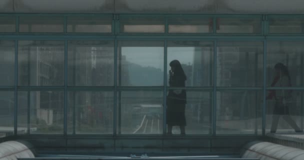 Februari 2018 Mensen Overschrijding Boven Lijn Metro Taipei Brown Taipei — Stockvideo