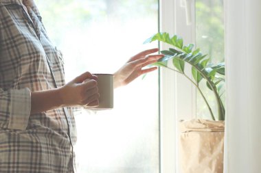 bir fincan çay ya da kahve pencere arka plan üzerinde kadın elinde. Sabah, pijama, minimalizm. Insta